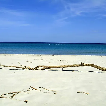 Su Cannonariu דירה