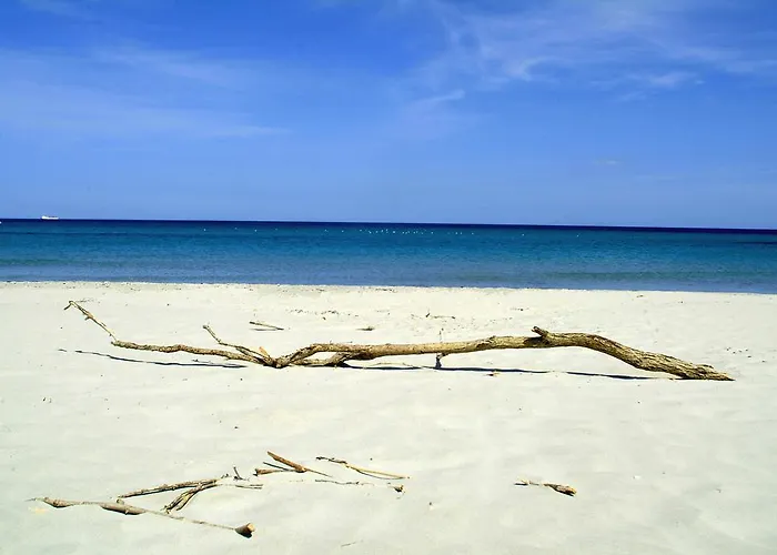 Su Cannonariu Apartamento